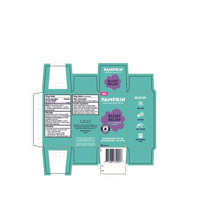 Pdp (Pamprin Bloat Carton 081225)